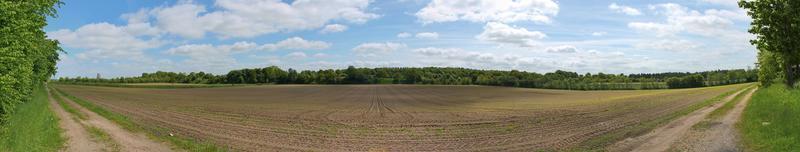 hermoso panorama de alta resolución de un paisaje del norte de Europa con campos y hierba verde foto