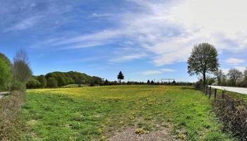 hermoso panorama de alta resolución de un paisaje del norte de Europa con campos y hierba verde foto