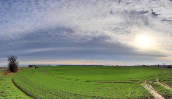 hermoso panorama de alta resolución de un paisaje del norte de Europa con campos y hierba verde foto