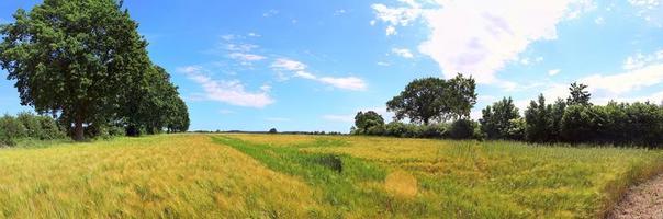 hermoso panorama de alta resolución de un paisaje del norte de Europa con campos y hierba verde foto