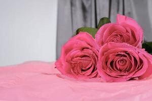 fresh pink roses with water drops on paper background. copy space. grey silk draped curtain photo