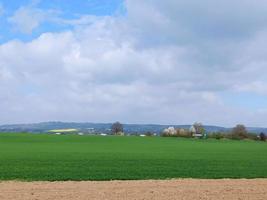 Open space in the city. Well-groomed fields with power lines photo