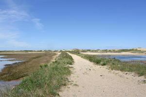 Sand Hiking Path Over Wetlands and Tidal Marsh photo