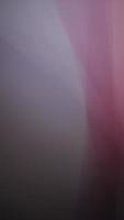 beautiful color gradation abstract, purple tones, Wallpaper photo