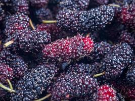 fresh mulberry closeup background photo