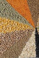 Big collection of different cereals and edible seeds. Grain angular pattern with top view photo