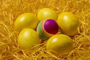 yellow easter eggs on straw background photo