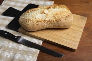 homemade french type bread photo