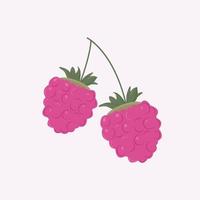 Ripe juicy raspberries vector