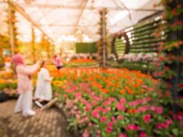 Blurred image Flowers garden with sunlight, Abstract background for your design photo