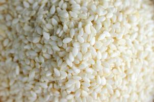 White sesame seeds with macro close up for raw food backgrounds photo