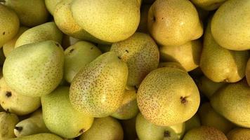 Yellow background with fresh pears. photo