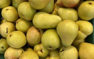 Yellow background with fresh pears. photo