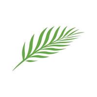 palm Leave logo design. Palm leaf Silhouette. Palm leave pictogram. Vector illustration