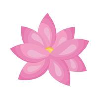 pink lotus flower vector