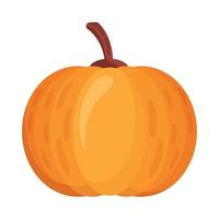 autumn fresh pumpkin vector