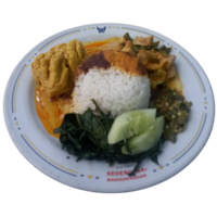 un plato de nasi padang. arroz con pollo al curry y algunas verduras. comida indonesia en un plato png