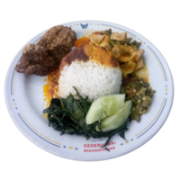 a plate of nasi padang. rice with chicken curry and some vegetables. indonesian food on a plate png