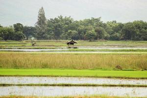 Farmers are preparing fields for farming. photo