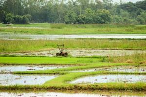 Farmers are preparing fields for farming. photo