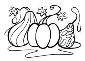 Graphic vector black and white image of three pumpkins for coloring, logo, badge, packaging. Stylized autumn pumpkins for Thanksgiving, Halloween, harvest holidays. Doodling by hand