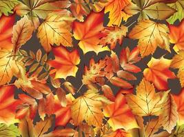 seamless pattern with hand drawn autumn leaves vector