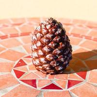 pine cone on mosaic stone table photo