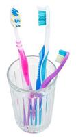 three tooth brushes in glass photo