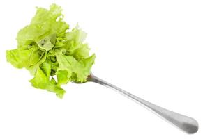 dinning fork with fresh green lettuce isolated photo