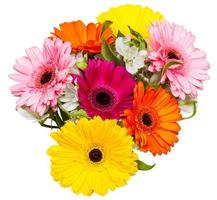 top view of bouquet with gerbera flowers isolated photo