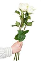 mano dando tres rosas blancas aisladas foto