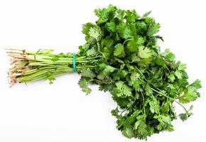 bunch of fresh cut green coriander herb on white photo