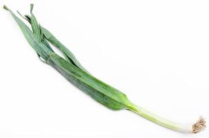 fresh green leek onion on white photo