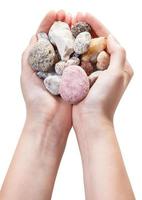 various natural pebble stones in handful isolated photo