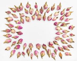 frame from many pink rose flower buds on white photo