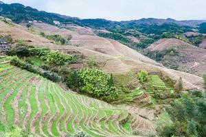 view of terraced fields and cottage in Tiantouzhai photo