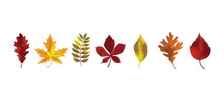 Fall and autumn leaves with gradients vector