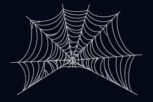 Spider web illustration. Cobweb isolated on dark background. Vector illustration