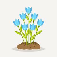 Blue tulips with heap of soil, ground. Gardening, planting flowers. Spring time vector