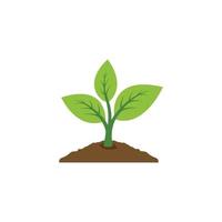 vector de icono de planta. diseño de cultivo de hojas. icono de vector de semilla y siembra. símbolo de logotipo de planta o árbol en crecimiento de diseño plano. ilustración vectorial