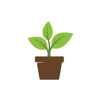 leaf and pot icon. Potted plant icon trendy design. leaf on pot icon vector. garden logo. Vector illustration