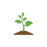 plant icon vector. leaf growing design. Seed and seeding vector icon. Flat design growing plant or tree logo symbol. Vector illustration