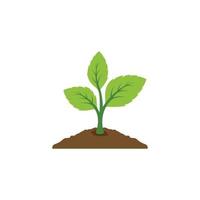 plant icon vector. leaf growing design. Seed and seeding vector icon. Flat design growing plant or tree logo symbol. Vector illustration