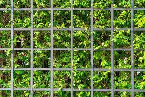 black Fence square with background of trees and leafs behind it photo