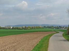 Open space in the city. Well-groomed fields with power lines photo