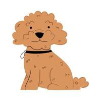 Poodle puppy in flat style. Vector illustration