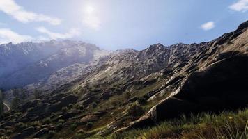 rica zona forestal natural, arroyos, cielo, montañas y varias plantas 3d renderizado foto