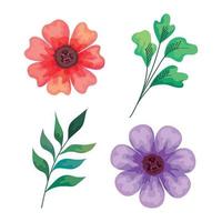 beautiful flowers and branches decorative icons vector