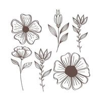 spring flowers and leafs hand drawn set icons vector