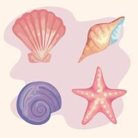 bundle of four sea shells colors set icons vector